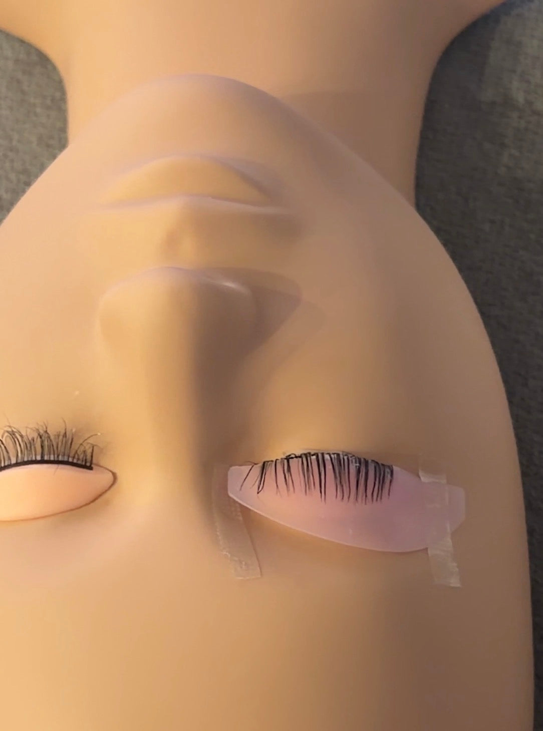 Lash Lift Practice Eye – Training Lashes for Lash Artists & Students