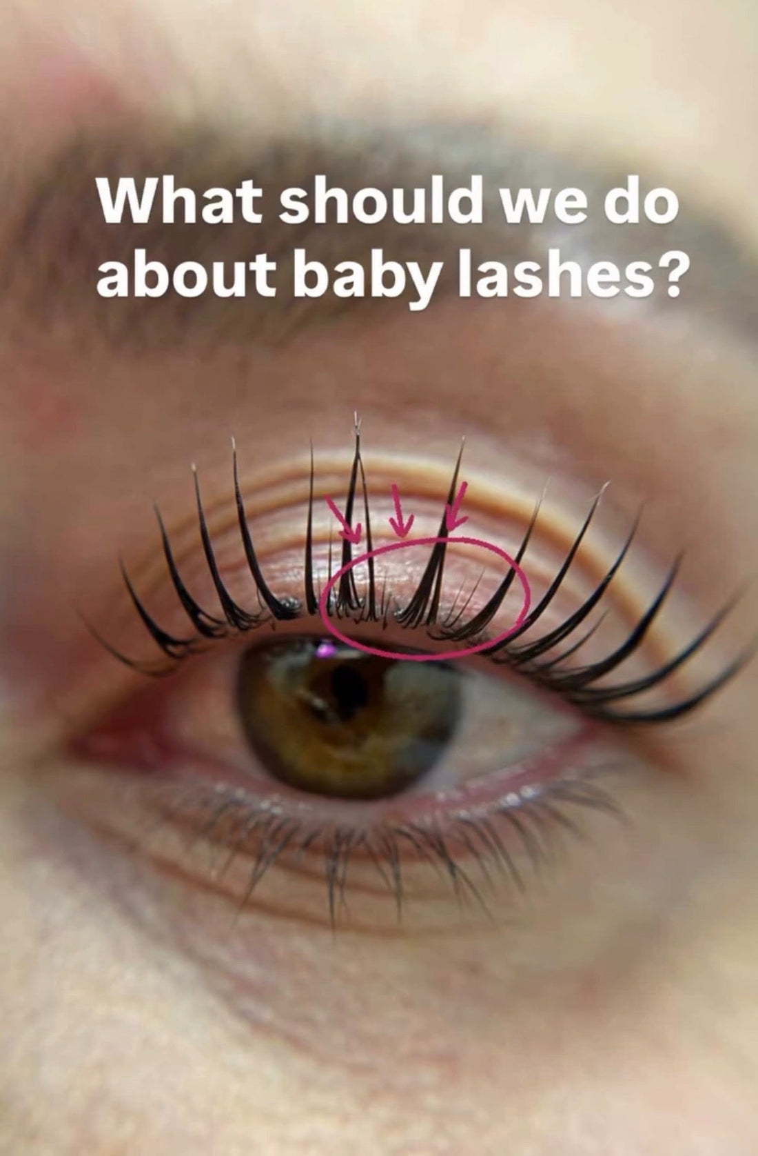 Close-up of an eye with lifted lashes including baby lashes, with the text 'What should we do about baby lashes?' — featured image for a Korean Lash Lift tutorial on handling baby lashes.