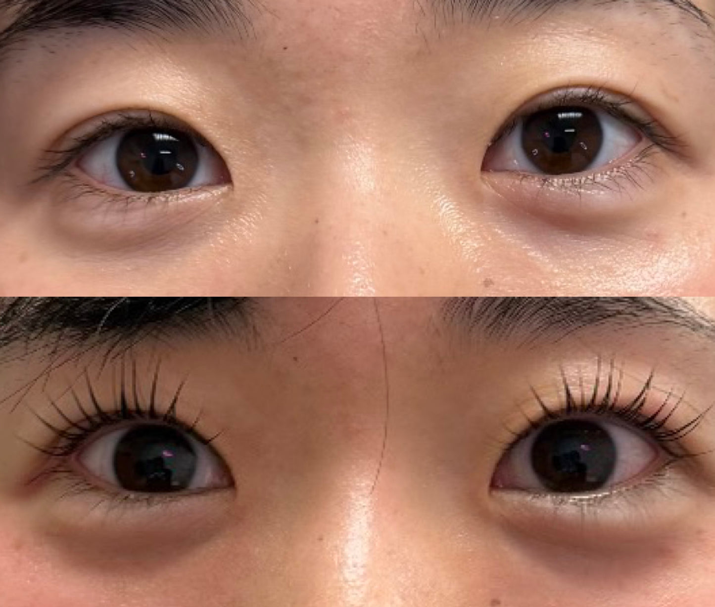 Bold no-glue shields - CU curl - in use during lash lift - by Lifted Lounge