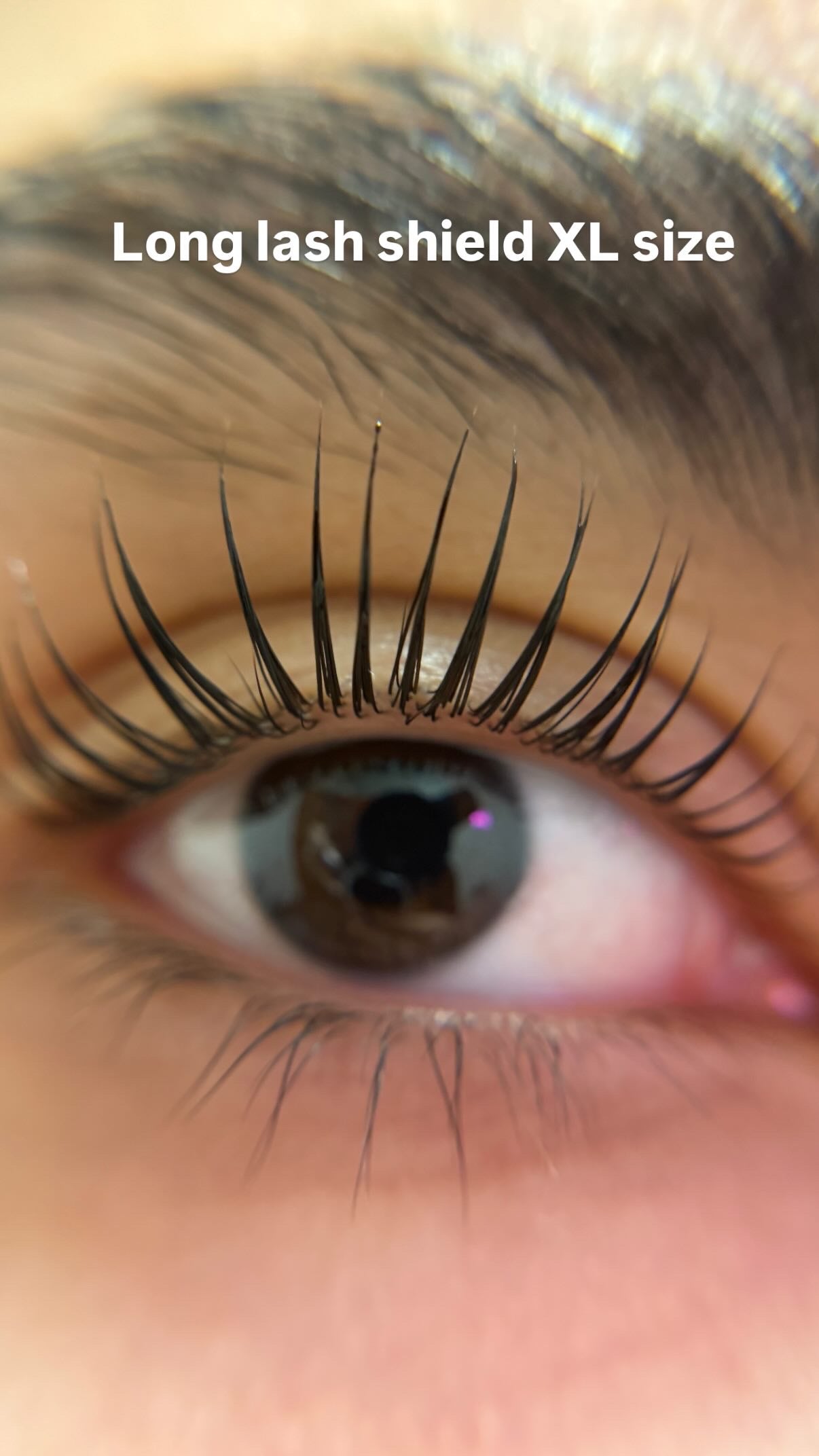 Long lash no-glue shields - application demonstration - by Lifted Lounge