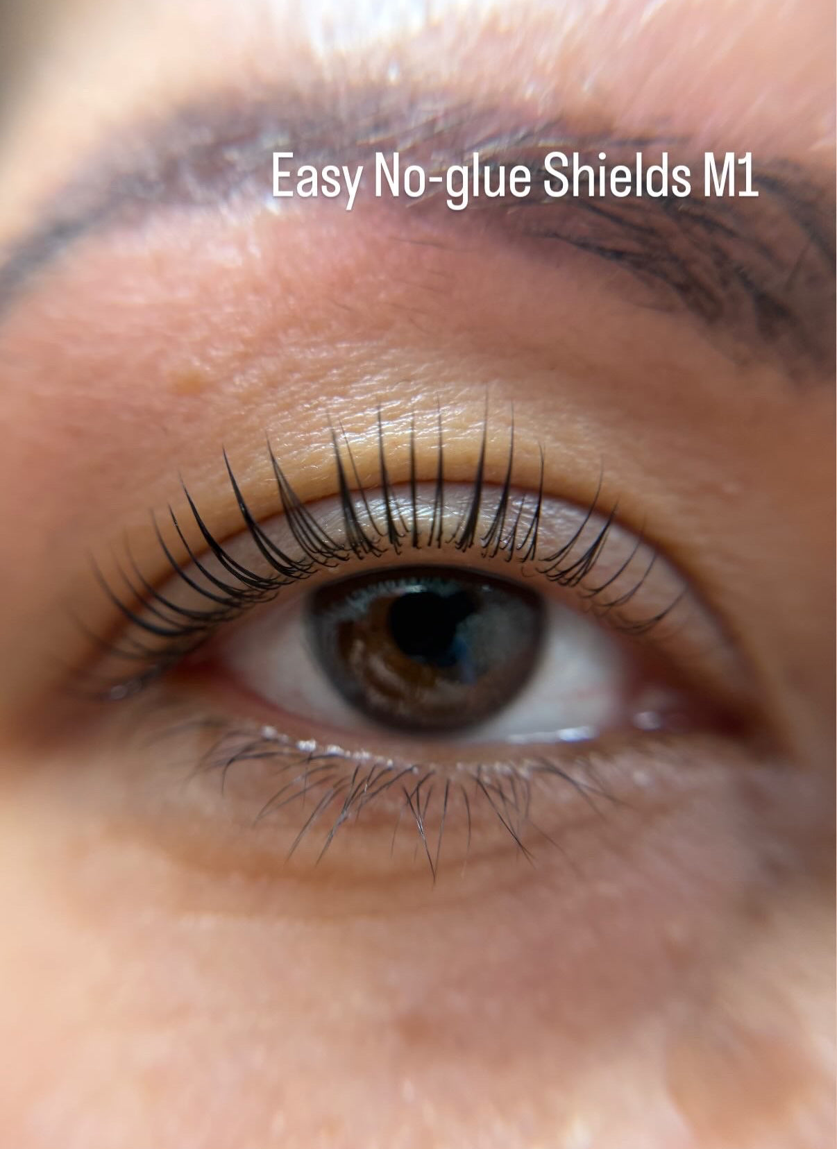 Easy no-glue shields - Korean lash lift supply - by Lifted Lounge