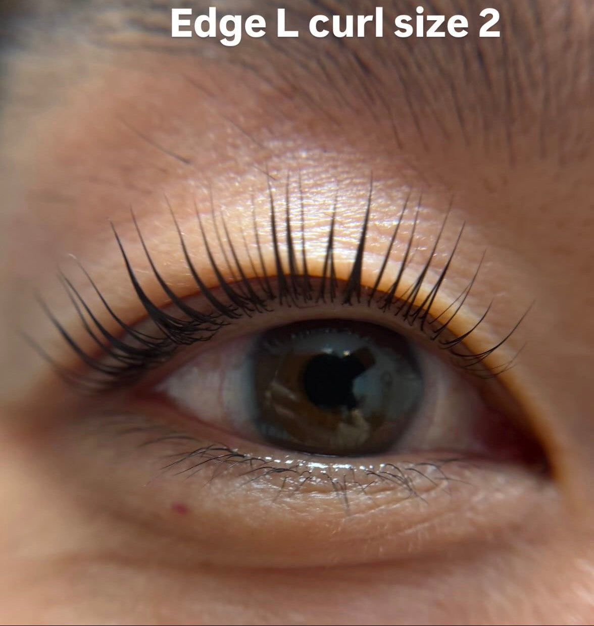 Edge no-glue shields : L curl - size comparison - by Lifted Lounge