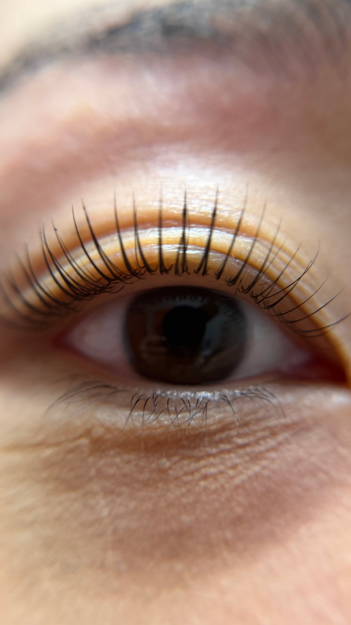 Close-up of a person's eye with detailed eyelashes