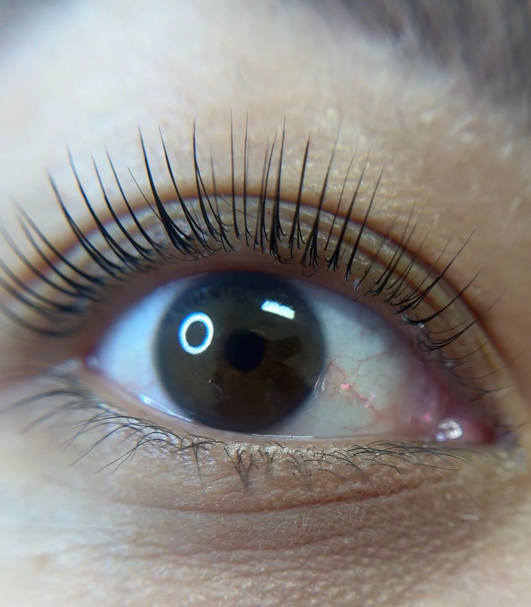 Korean lash lift before and after result using Lifted Lounge Perm Solution – lifted curled lashes close-up