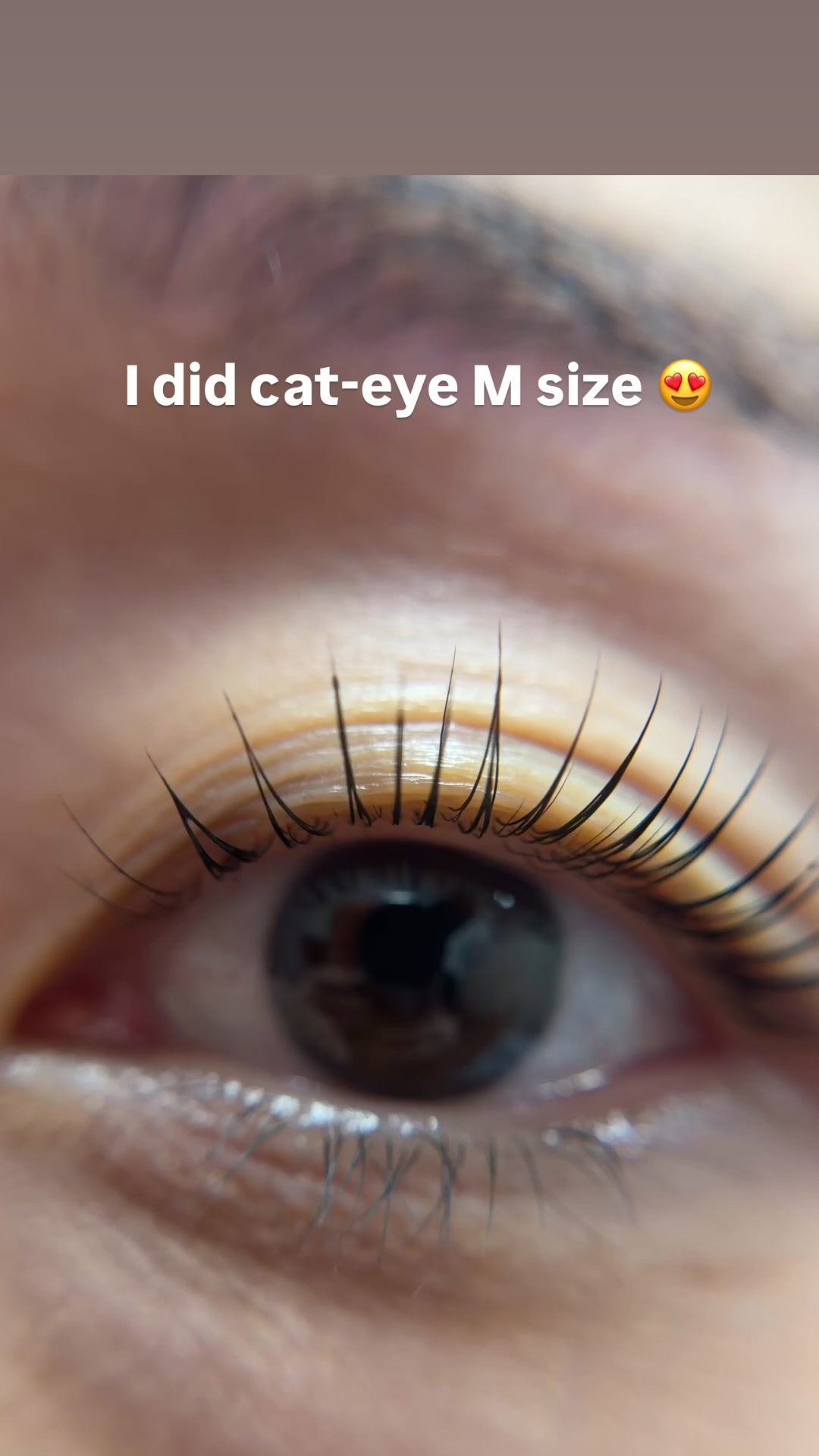 Cat-eye no-glue shields - professional lash lift tool - by Lifted Lounge