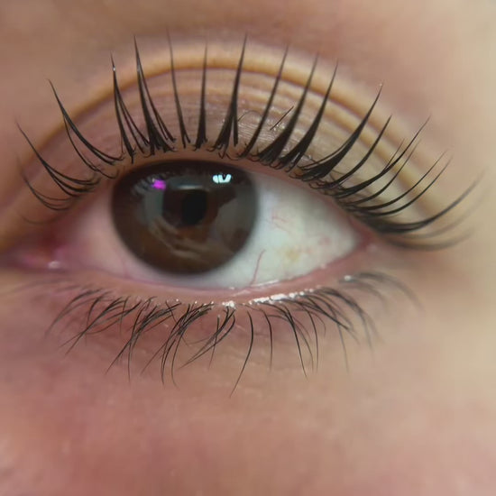 Long lash no-glue shields - in use during lash lift - by Lifted Lounge