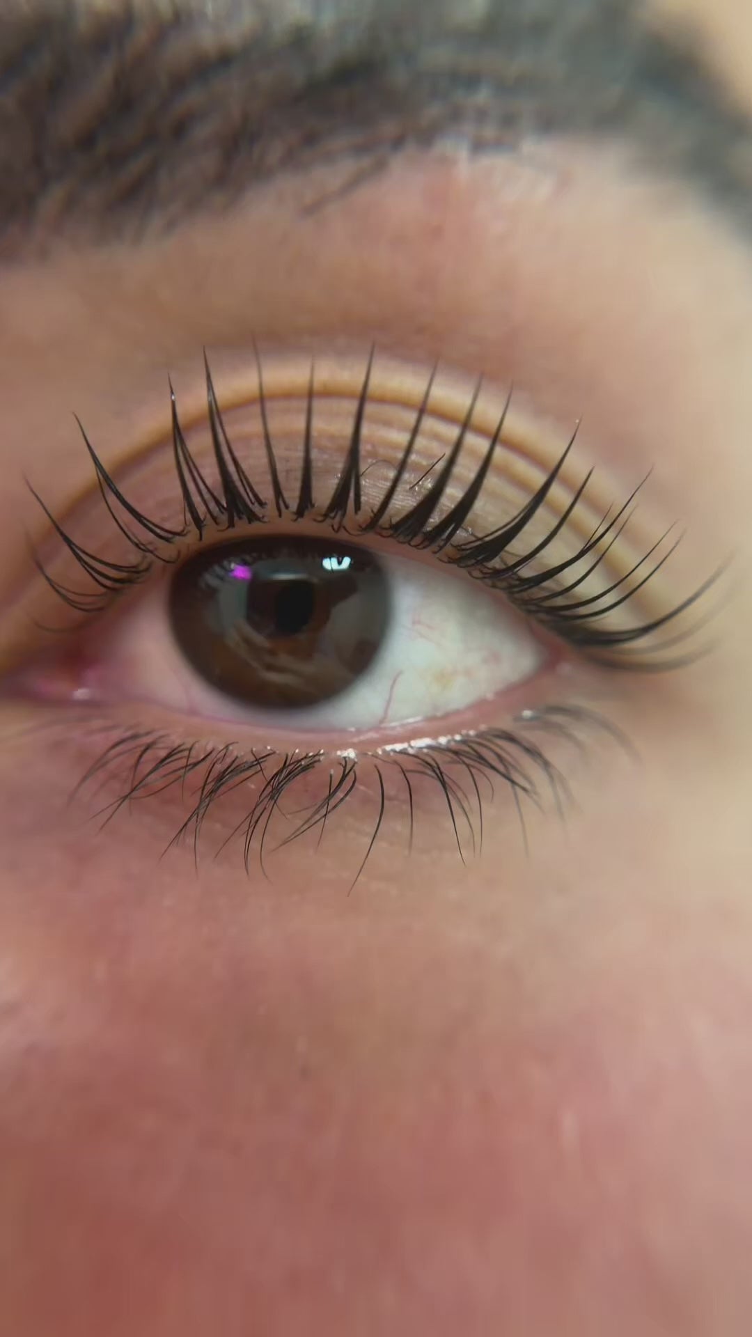 Long lash no-glue shields - in use during lash lift - by Lifted Lounge
